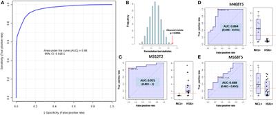 Molecular Signatures of High-Grade Cervical Lesions